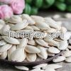 Pumpkin seed