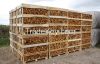 Cheap Fresh Firewood in 1m3 crate