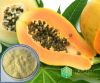 Papaya powder