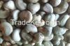 Raw Cashew nuts