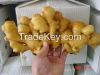 Sell Quality Ginger and Garclics for sale