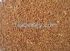 millet for sale