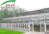 Sell agriculture greenhouse
