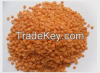 High Quality Red Lentils