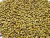 Coriander seeds. Best price.