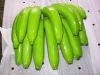 Fresh Cavendish Bananas