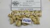 CASHEW NUT KERNEL WW240 BEST PRICE