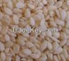 sesame Seeds for sell