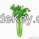 Celery Seed