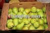 Fresh Pears