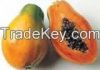 Fresh Papaya