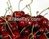 Fresh Cherries