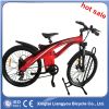 Alloy Framed Electric Mountain Bike