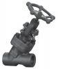 Y-pattern Globe Valve