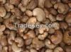 Raw Cashew Nuts