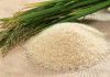 Sell Medium Grain White Rice