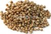 Coriander seeds