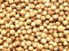 Bulgarian Whole Coriander Seeds