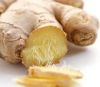 Sell Fresh Ginger