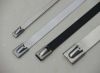 2015 4.5mm 7.9mm 12mm Self-Locking Stainless Steel Cable Tie