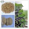 Golden and Silver Expanded Vermiculite for Horticulture, Agriculture, etc