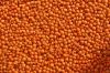 Lentils