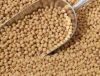 Soybean / soy bean / soya bean meal with high protein for animal feeds