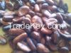 sell cocoa beans from Indonesia