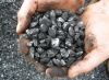 coal in bulk bidding