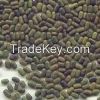 Best Quality Sesbania Seeds