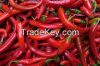 Fresh and Dried Chili peppers Available