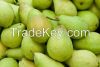 Fresh Green Pear