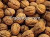 Chilean Walnuts