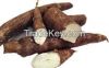 cassava starch