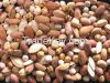 Nuts and Dried Fruits- high quality