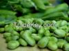 Broad Beans