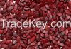 Quality Roasted Water Melon Seed