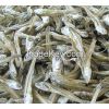 Dried Fish (Dried Anchovy and Dried Herring )