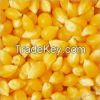 Yellow Corn