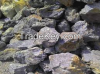 Zinc Ore available