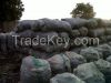 Quality Hard Wood Charcoal Available