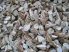 Dried Cassava (Tapioca) Chips