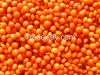 Red Lentils