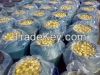 mushroom in plastc drums VERY HIGH GRADE HOT SALES