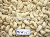 Dried Quality Cashew Nuts at good price