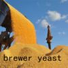 sell chinese products&brewer yeast