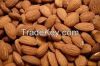 B2B Sell Premium Quality Dried Sweet Almond Nuts