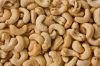 Sell Cashew nuts , Cashew Nuts kernels, Raw Cashew Nuts W320, W240