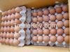 Fresh Eggs and other Chicken products