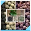 Vietnam Black Pepper